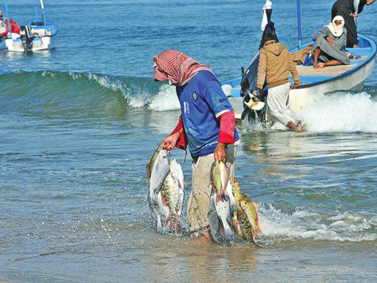 Nuovi investimenti del Governo omanita per lo sviluppo della pesca