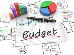 Il bilancio dello stato 2018-19: priorità agricoltura ed industria