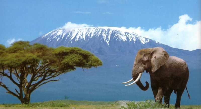 Dati OMT sul turismo in Tanzania