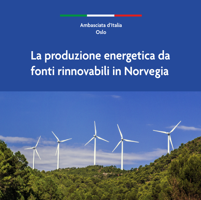 Ebook sul settore della produzione di energia da fonti rinnovabili in Norvegia, 2022