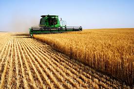 Il Governo kazako annuncia un piano di sviluppo del settore agroalimentare: potenziali opportunità di investimento