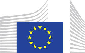 EuropeAid171155 - Call for Proposal per sostegno agli acceleratori di impresa e all'inclusione sociale.