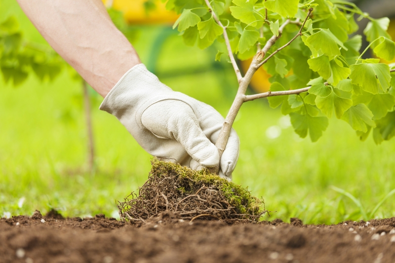 Oltre 60 mila nuovi posti di lavoro nell'agrobusiness brasilano nel 2020