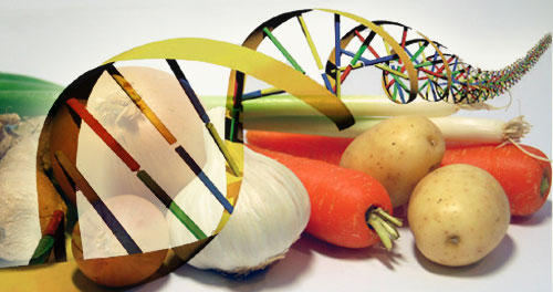 Il Congresso americano approva una nuova disciplina sull'etichettatura dei prodotti alimentari con OGM