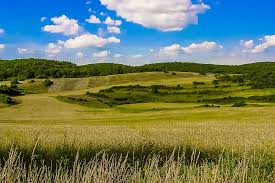 La Slovacchia spende l1,2% del PIL per lagricoltura e lo sviluppo rurale