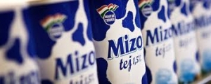 INVESTIMENTO DELLA SOLE-MIZO